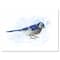 Designart - Vintage Blue Jay Bird - Traditional Canvas Wall Art Print